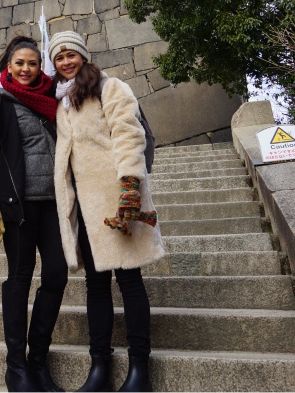 Faux Fur Coat w/ FREE vacuum seal travel bag